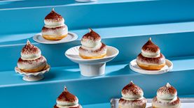 נדב בורנשטיין ביסקוטי צפון, צילום: דרור עינב